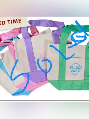 Trader Joe's Mini Canvas Tote in Cream with Green Trim